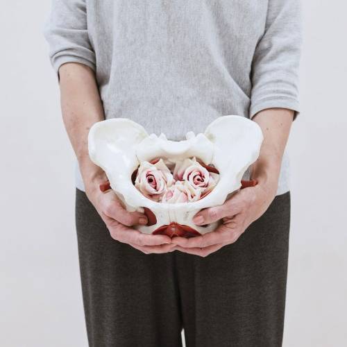 Taller Piso Pélvico Masculino: Terminología, Evaluación Manual y Casos • Sin Membresía ALAPP