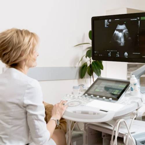 Curso Ecografía en Piso Pélvico • Sin Membresía ALAPP